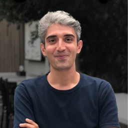saeid tofig
