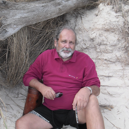 Jorge Anibal Cela