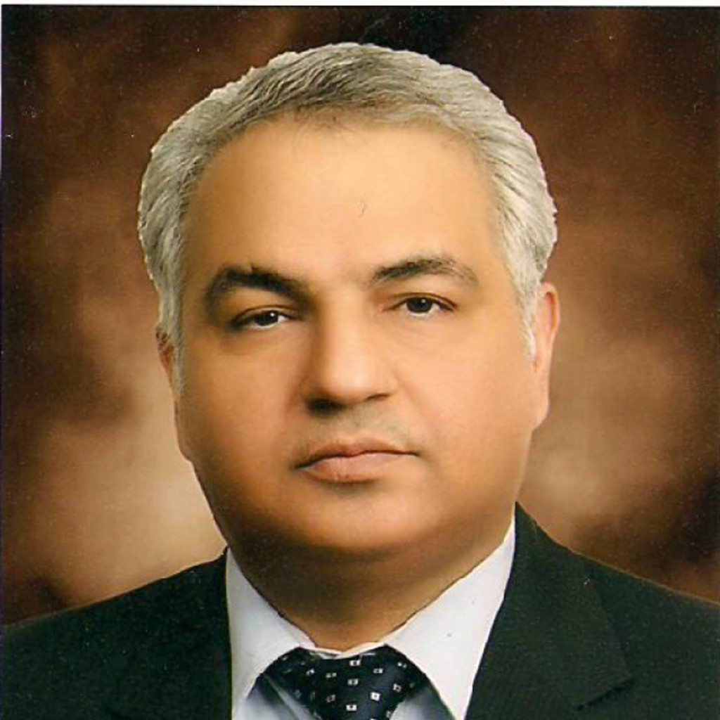 Ali Samangan CRT Restaurant Burger King GmbH XING