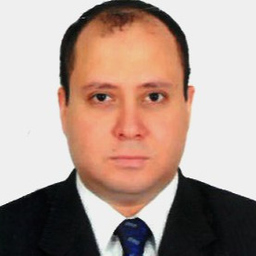 Hani Elagamawy