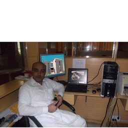Ali Wajid