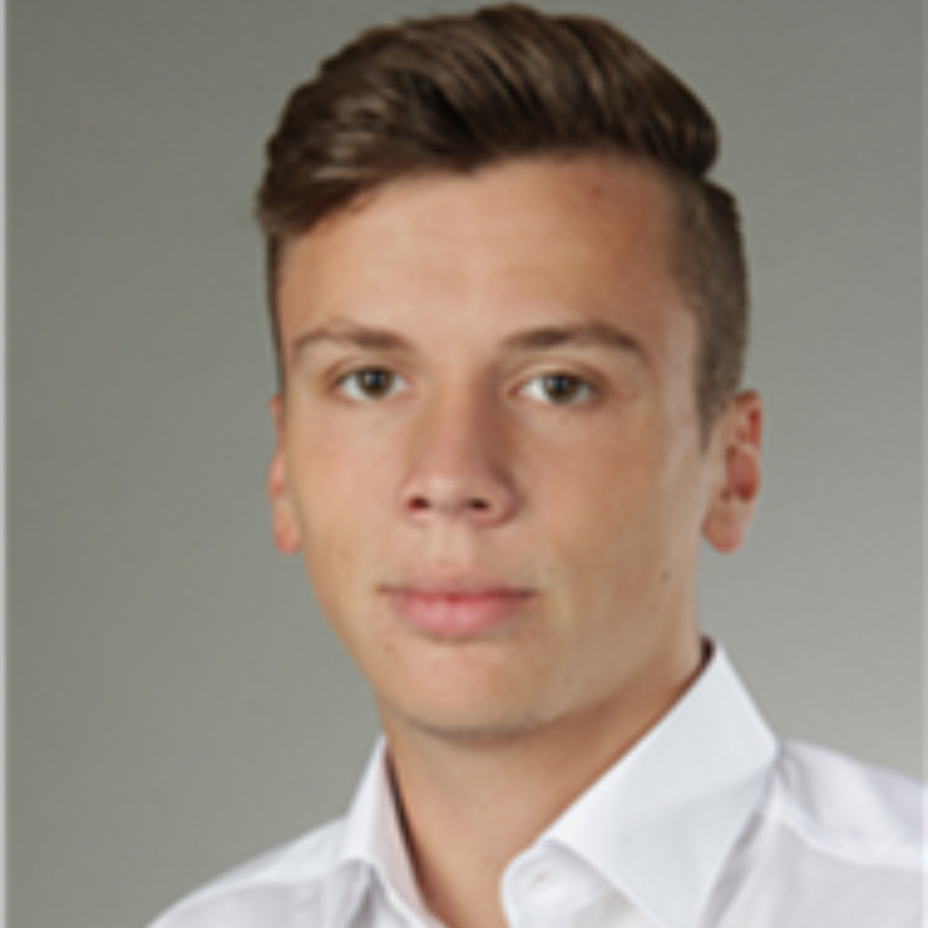 Niklas Hoferer - Dualer Student - Endress+Hauser Gruppe | XING