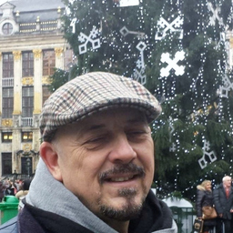 Enrico Giovanni Viti's profile picture