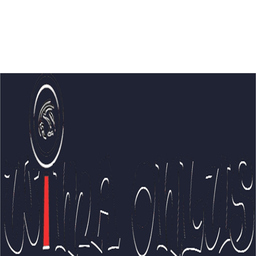 Prof. Dr. Khaled Abir Sondes