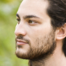 Manuel Flemming