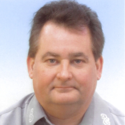 Ronny Diepold's profile picture