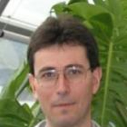 Anton Fichtinger