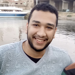 Momen Ahmed Metwally