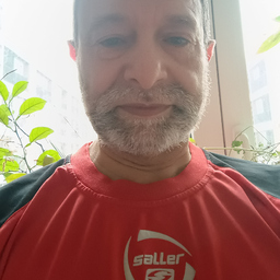 Adel EL Sayed