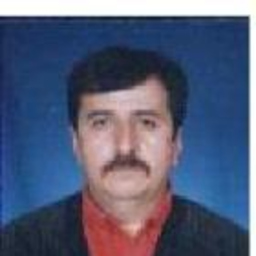 José Manuel Flores Linares
