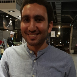 Dr. Hossam Hassan