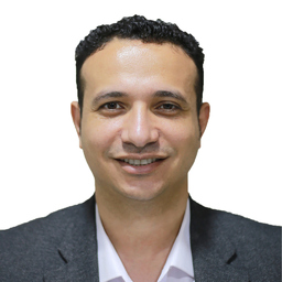 Ing. Barsoum Farag