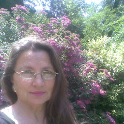 Wera Hamberger