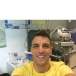 Sascha Robbert
