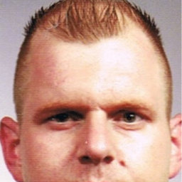 Marco Wegener's profile picture
