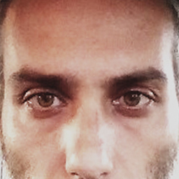 massimiliano regoli