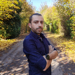 Alexandru Voicau