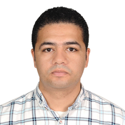 wael abdelhafez