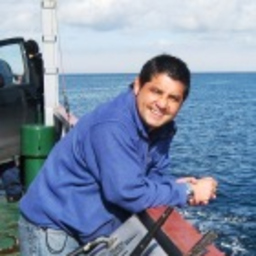 Cristian Flores