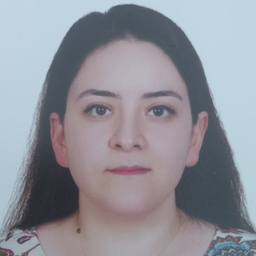 Büşra Gürel's profile picture