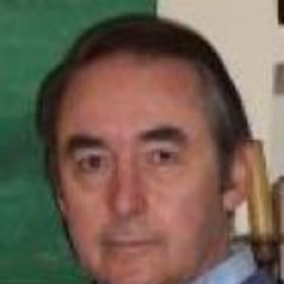 Jose Ramon Dominguez del Rio