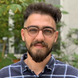 Parsa Motamedi
