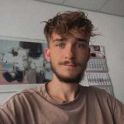 Dominik Schmitt