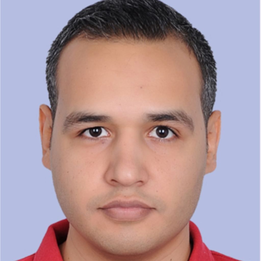 Walid Salem Applications Engineer Wirecard Acceptance Technologies