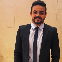 Ahmed ElMahdy