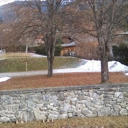 Souli Mba