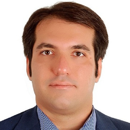 M.Reza Lavasani