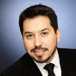 Dipl.-Ing. Alberto J. Somarriva P.