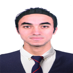 Ing. Hesham Moharam