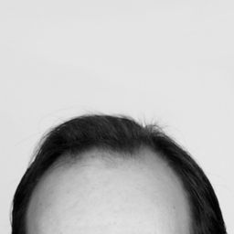 Michael Scheidler