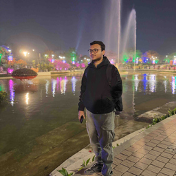 Anas Ansari