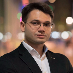 Ing. Dimitri Bergan