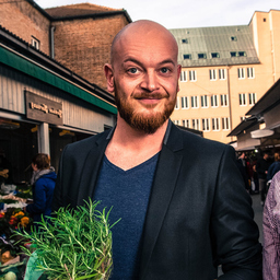 Denis Gibisch's profile picture