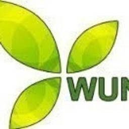 Bruno Wunderlin