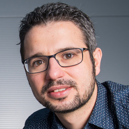 Dr. Steffen Hau