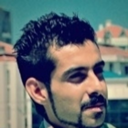 Sina Demiral