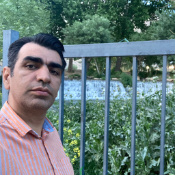 saeid amiri