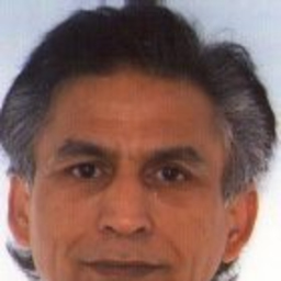 Ali Anwar Syed