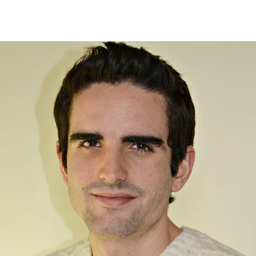 David Miralles Pérez