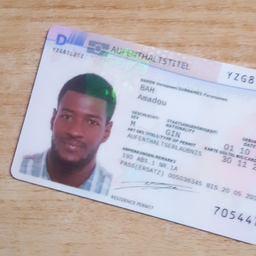 Amadou Bah
