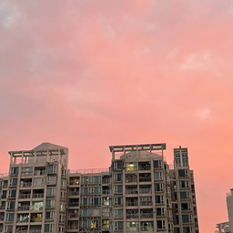 Jiajia Zhou's profile picture