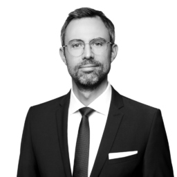 David Grünmayer's profile picture