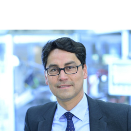 Marcus Velezmoro