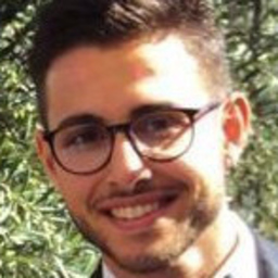 luca berardinelli