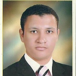 Hosny Hasabo