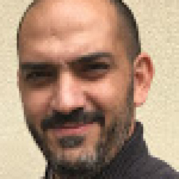 Dipl.-Ing. Fabio Bergamin